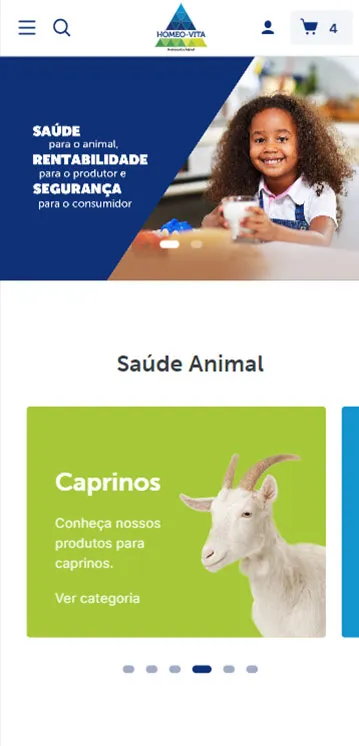 Agência de Desenvolvimento de E-commerce