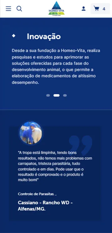 Agência de Desenvolvimento de E-commerce