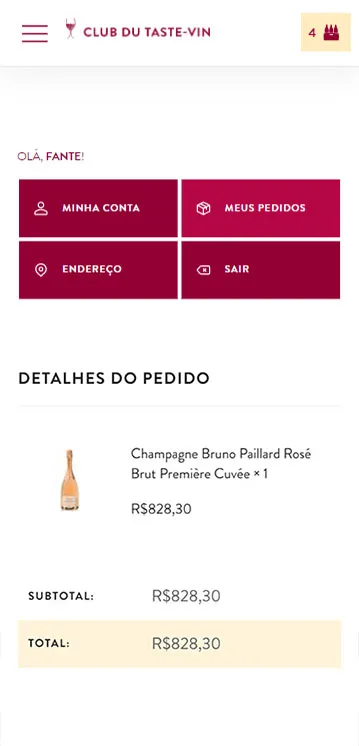 Agência de Desenvolvimento de E-commerce