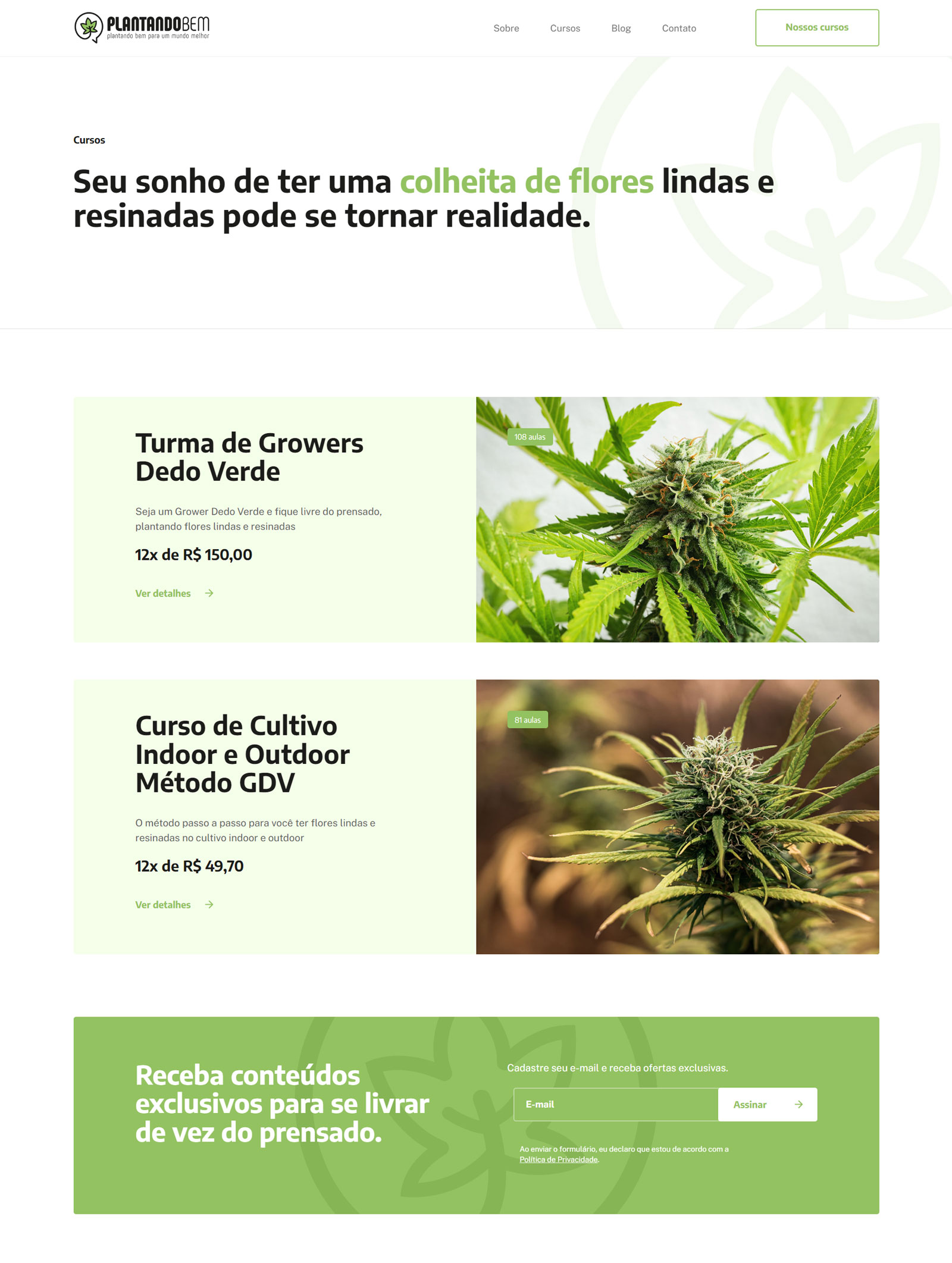 Agência de Desenvolvimento e Criação de Sites