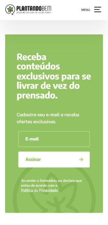 Agência de Desenvolvimento e Criação de Sites